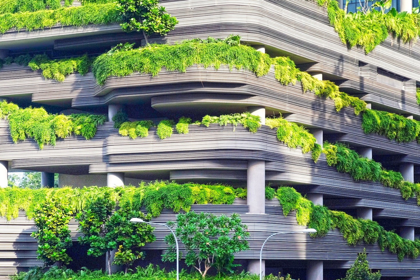 5 Tendências em Arquitetura Sustentável para 2024