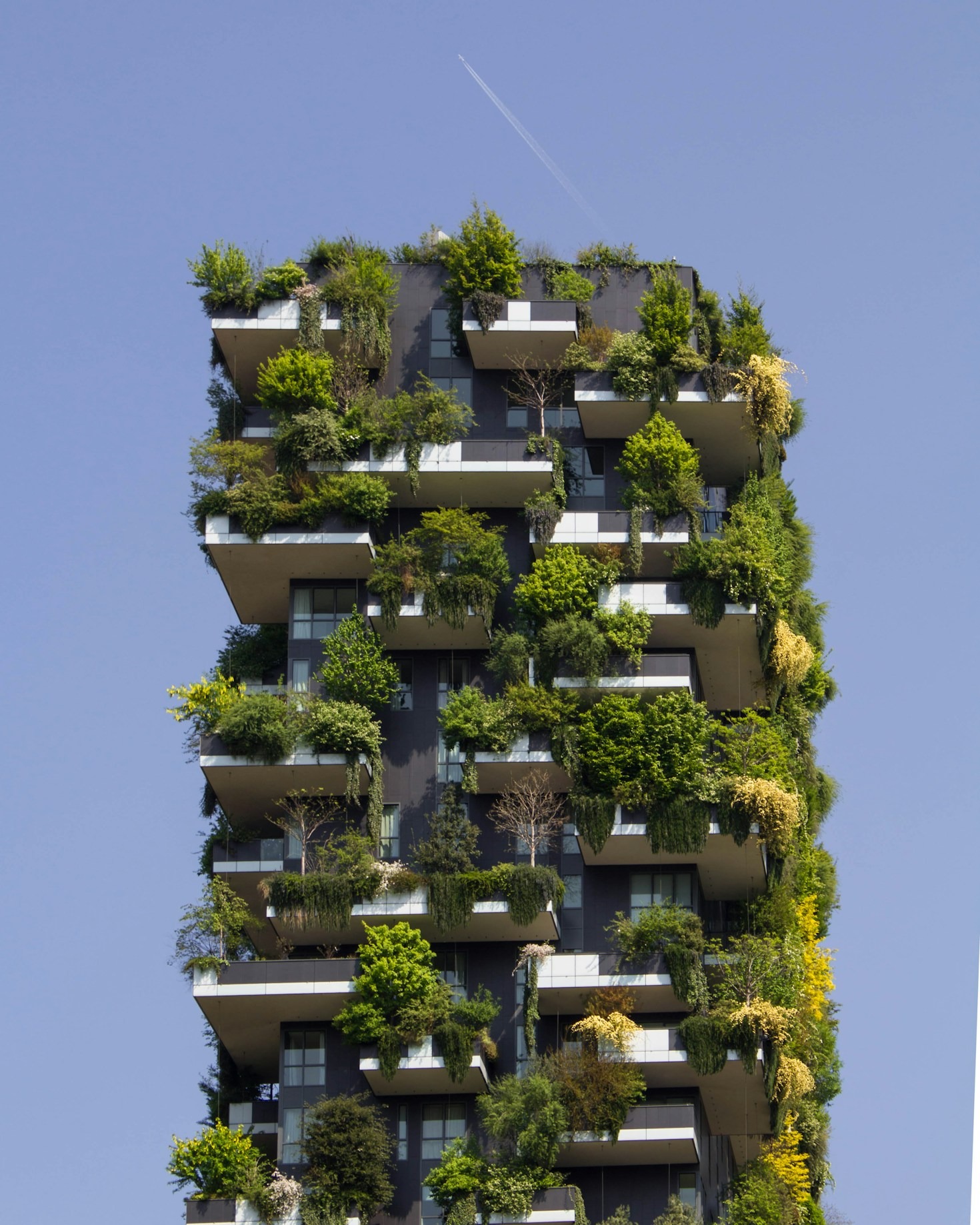 Como o Paisagismo Transforma Ambientes Urbanos
