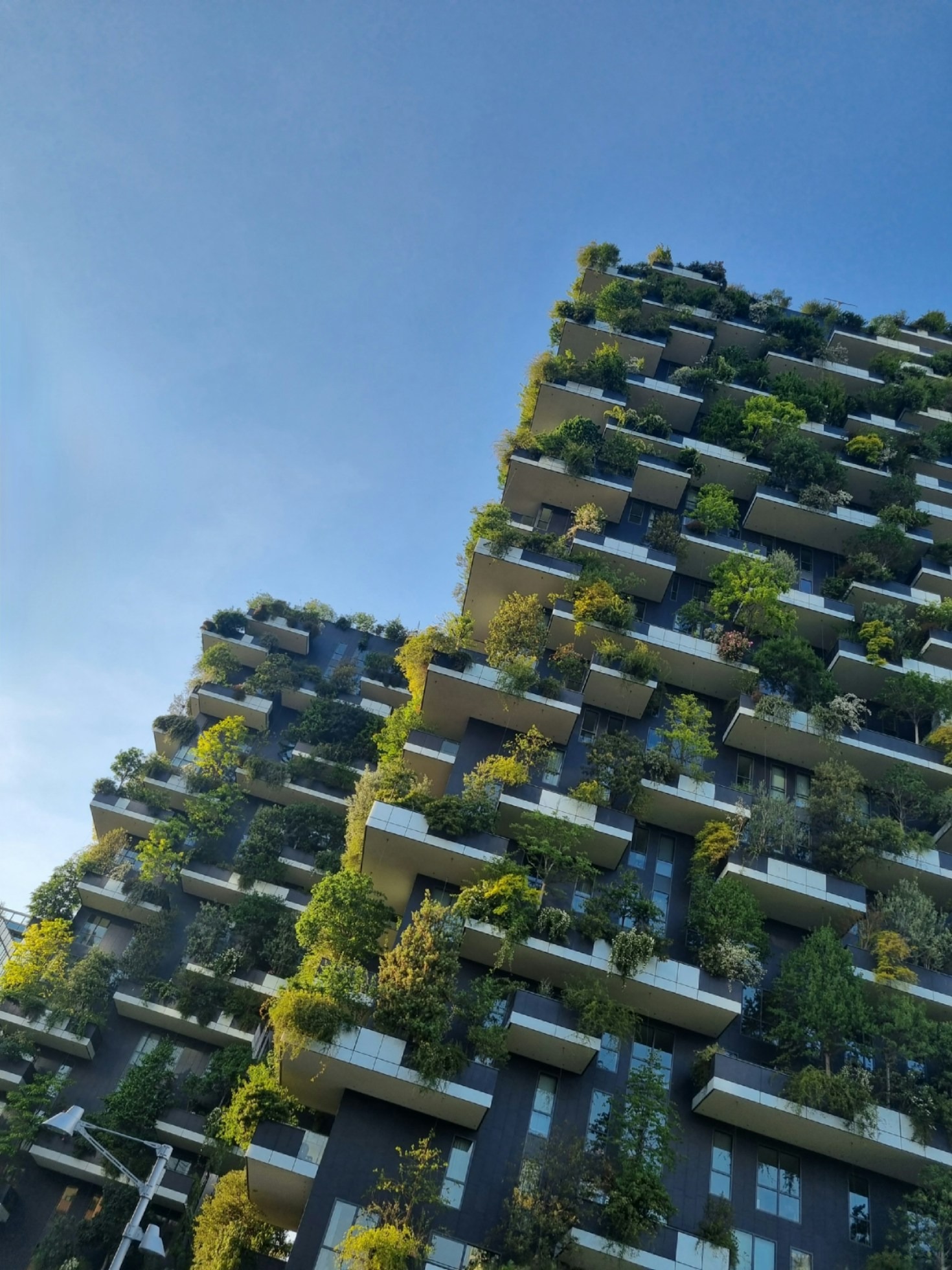 Dicas para Integrar Natureza e Funcionalidade em Casa